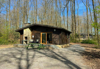 Chalet 'LIJSTERNEST' in Belgio circondato dalla foresta, con tavolo da picnic e terrazza al sole.