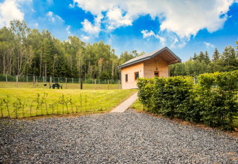Chalet Rogery 64 in Belgium, wooden cabin with fenced yard, surrounded by trees under blue sky.