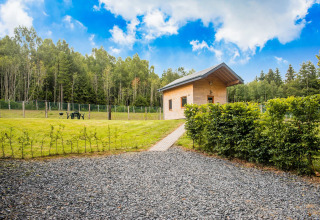 Chalet Rogery 64 in België, houten huisje met omheinde tuin, omgeven door bomen, blauwe lucht erboven.