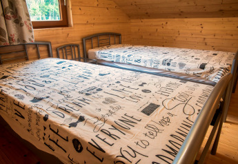 Two single beds with patterned bedding in a wooden room at chalet Rogery 64, Belgium, window view visible.