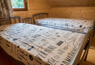 Twee eenpersoonsbedden met beddengoed in houten kamer van chalet Rogery 64, België, raamzicht aanwezig.