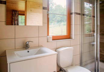 Bright modern bathroom at Rogery 64 chalet in Belgium featuring a window, shower, sink, and toilet.