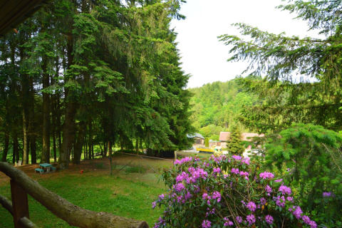 Udsigt fra chalet «Flons et Roulotte» i Belgien, med skov, lyserøde blomster og landsbybygninger i baggrunden.