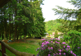 Udsigt fra chalet «Flons et Roulotte» i Belgien, med skov, lyserøde blomster og landsbybygninger i baggrunden.