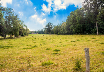 Expansive grassy field with trees and blue sky near Chalet Rogery 64 in Belgium on a sunny day.