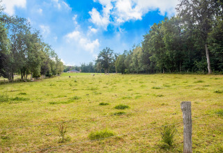 Groot groen weiland met bomen en blauwe lucht nabij chalet Rogery 64 in België op een zonnige dag.