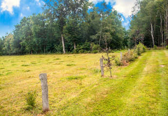 Green field and grassy path at chalet Rogery 64 in Belgium, surrounded by trees under a blue sky.