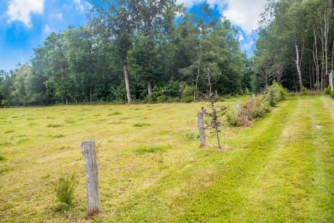 Groen veld en grasweg bij chalet Rogery 64 in België, omgeven door bomen en een blauwe lucht.