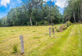 Groen veld en grasweg bij chalet Rogery 64 in België, omgeven door bomen en een blauwe lucht.
