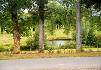 View through trees of a pond and grassy fields near chalet Rogery 64 in the Belgian countryside.