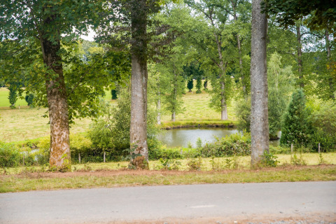 Uitzicht door bomen op een vijver en groene velden bij chalet Rogery 64 op het Belgische platteland.