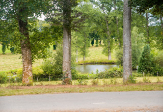 Uitzicht door bomen op een vijver en groene velden bij chalet Rogery 64 op het Belgische platteland.