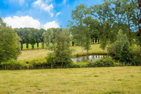 Uitzicht op een veld, vijver en bomen bij chalet Rogery 64 in België onder een blauwe lucht.