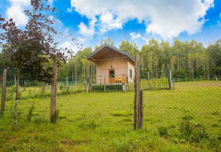 Chalet 'Rogery 64' in België, omringd door een hekwerk, groen gras en bos op de achtergrond.