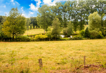 View from Rogery 64 chalet in Belgium: grassy fields, trees, a small pond and blue skies on a sunny day.