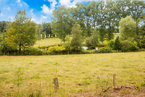 Uitzicht bij chalet Rogery 64 in België met grasland, bomen, een kleine vijver en een heldere blauwe lucht.
