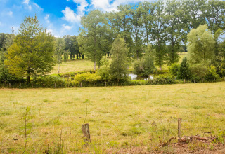 Uitzicht bij chalet Rogery 64 in België met grasland, bomen, een kleine vijver en een heldere blauwe lucht.