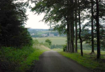 View from chalet Rogery 64 in Belgium, with a winding country road, green fields and trees ahead.