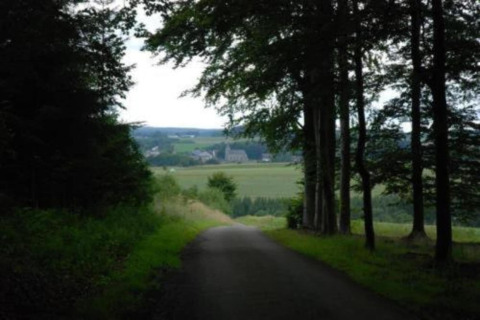 Uitzicht vanaf chalet Rogery 64 in België met een landweg, groene velden en bomen op de voorgrond.
