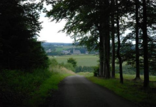 Uitzicht vanaf chalet Rogery 64 in België met een landweg, groene velden en bomen op de voorgrond.