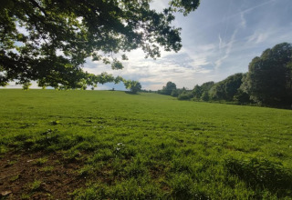 Panoramisch uitzicht op een groene weide en bomen bij chalet Rogery 64 in België, zonlicht door de takken.