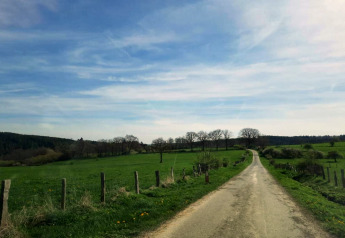 Landscape photo taken from Rogery 64 chalet in Belgium, with a winding road, green fields, and blue sky.