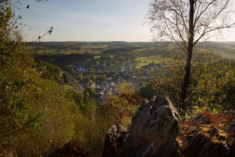 Uitzicht vanaf chalet Rogery 64 in België, met bomen, rotsen en een dorp in een groene vallei.