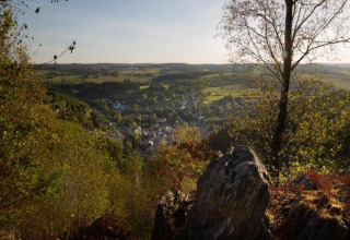 Uitzicht vanaf chalet Rogery 64 in België, met bomen, rotsen en een dorp in een groene vallei.
