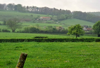 View from chalet Rogery 64 in Belgium over green fields and hills with trees, hedges, and distant houses.
