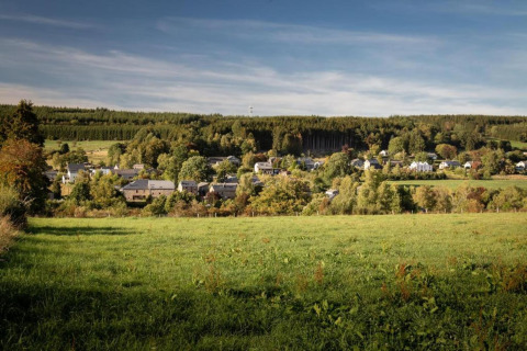 Uitzicht vanaf chalet Rogery 64 in België, met groene weiden, bos en een charmant dorp op de achtergrond.