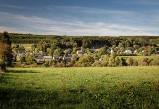Uitzicht vanaf chalet Rogery 64 in België, met groene weiden, bos en een charmant dorp op de achtergrond.