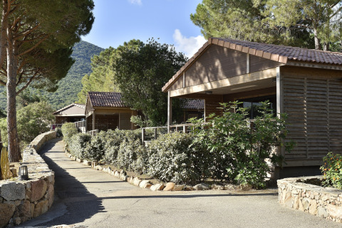 Chalet Casane en Résidence U Livanti Belvédère Campomoro con camino soleado, rodeado de árboles y naturaleza.