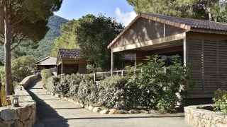 Chalet Casane en Résidence U Livanti Belvédère Campomoro con camino soleado, rodeado de árboles y naturaleza.