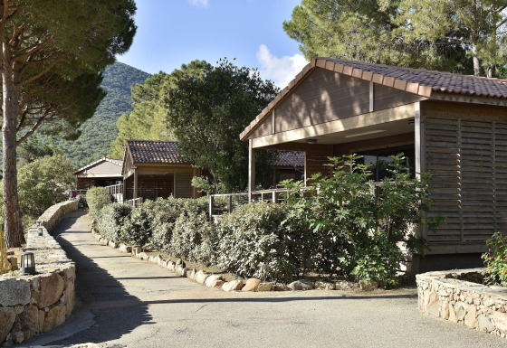 Chalet Casane en Résidence U Livanti Belvédère Campomoro con camino soleado, rodeado de árboles y naturaleza.