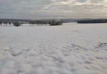 Snow-covered landscape and fields with trees viewed from chalet Rogery 64 in Belgium under a cloudy sky.