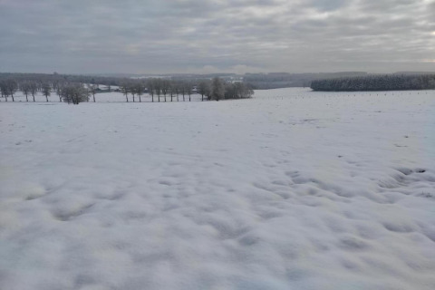 Met sneeuw bedekt landschap en velden met bomen, gezien vanaf chalet Rogery 64 in België onder een bewolkte lucht.