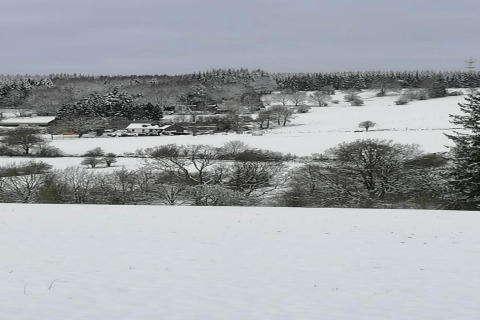 Winters landschap met besneeuwde velden en bomen vanaf chalet 'Rogery 64' in België.
