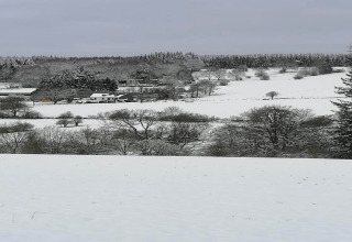 Winters landschap met besneeuwde velden en bomen vanaf chalet 'Rogery 64' in België.