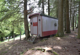 Lille hytte på hjul i skoven ved chalet ‘Flons et Roulotte’ i Belgien, omgivet af høje træer.