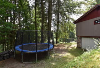 Skovklædt område ved chalet Flons et Roulotte i Belgien med trampolin og rødgråt hus om sommeren.
