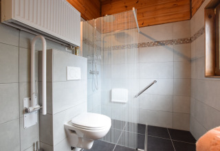 Aangepaste badkamer in lodge Famenne, België, met douche, steunbeugels en zwevend toilet.