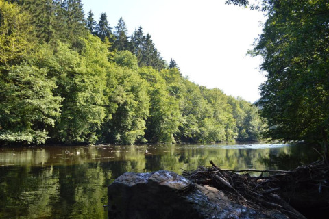 Zicht op rustige rivier met groene bomen bij lodge 'Famenne' in België tijdens het zomerseizoen.