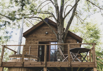 Casa sull'albero 'Bird Nest' in Belgio con terrazza in legno, vasca idromassaggio e mobili da esterno fra gli alberi.