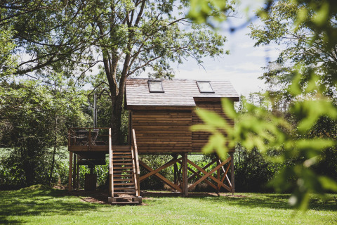 A treehouse named 'Bird Nest' in Belgium, nestled among trees with a sunlit grassy lawn beneath it.