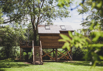 Casa sull'albero chiamata 'Bird Nest' in Belgio, circondata da alberi e prato verde sotto un cielo limpido.