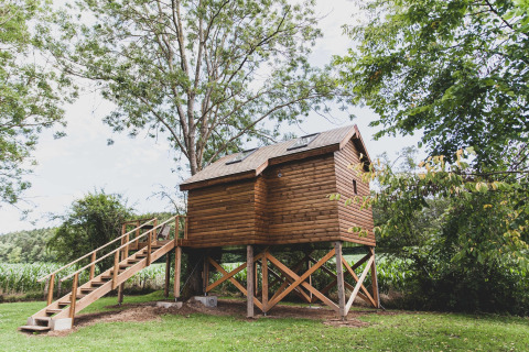 Photo of the Bird Nest tree house in Belgium, elevated on wooden stilts and surrounded by trees.