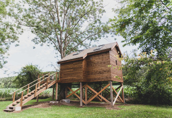 Casa sull’albero ‘Bird Nest’ in Belgio, struttura in legno rialzata, circondata da alberi verdi.