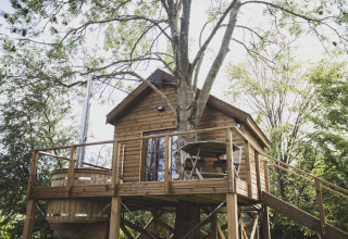 Bird Nest treehouse with wooden deck, table, chairs, and hot tub among green trees, photographed in Belgium.