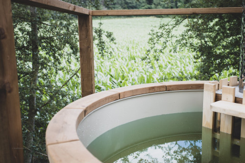 View from the 'Bird Nest' tree house in Belgium, featuring a round bathtub and lush green landscape.