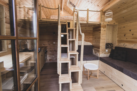 Interior view of the 'Bird Nest' tree house in Belgium, featuring wood decor, loft bed, and cozy sofa.